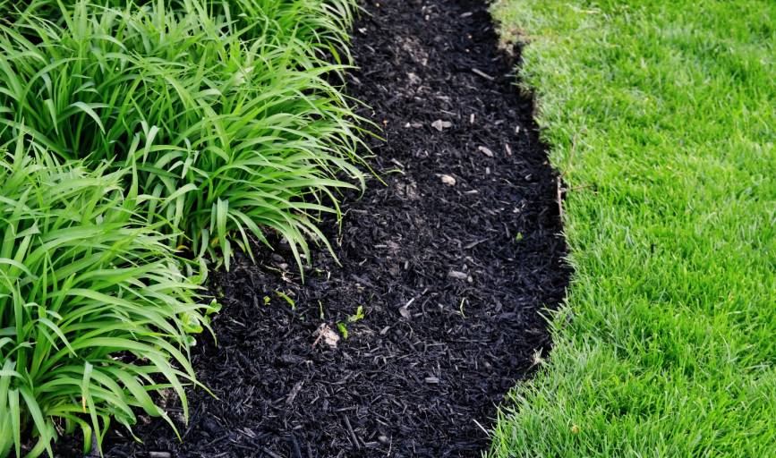 Mulching Service